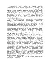 Krikščionybė. Katalikybė ir protestantizmas Lietuvoje 5 puslapis