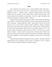 ANTIMONOPOLINĖ POLITIKA LIETUVOJE 3 puslapis