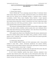 ANTIMONOPOLINĖ POLITIKA LIETUVOJE 8 puslapis