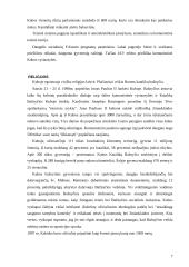 Kuba, Kubos charakteristika 7 puslapis