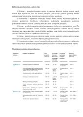Kurortų vystymo problemos Lietuvoje 13 puslapis