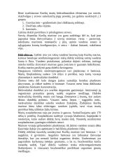 Kuršių marios 5 puslapis