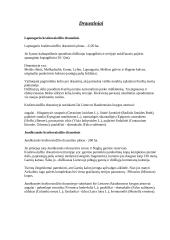 Kuršių nerija 5 puslapis