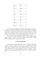 Laivininkystė ir laivų klasifikavimas 18 puslapis