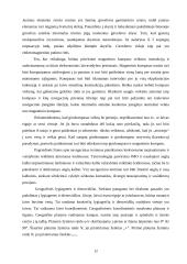 Laivininkystė ir laivų klasifikavimas 10 puslapis