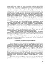 Ledynų susidarymas 4 puslapis