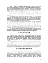 Ledynų susidarymas 6 puslapis