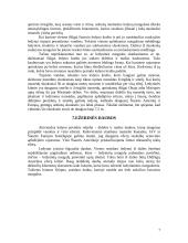 Ledynų susidarymas 7 puslapis