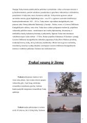 Lietuvos miestų istorija: Trakai 15 puslapis