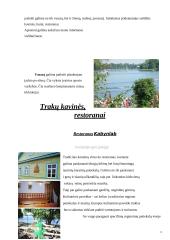 Lietuvos miestų istorija: Trakai 16 puslapis
