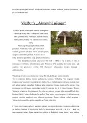 Lietuvos miestų istorija: Trakai 18 puslapis