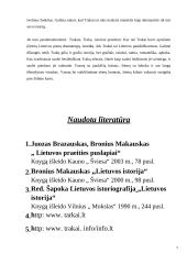 Lietuvos miestų istorija: Trakai 19 puslapis