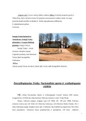 Lietuvos miestų istorija: Trakai 9 puslapis