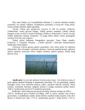 Lietuvos pajūrio charakteristika 10 puslapis