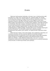 Liudvigas van Bethovenas - gyvenimas ir kūryba 7 puslapis