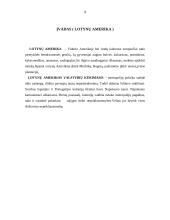 Lotynų Amerika 2 puslapis