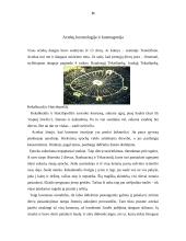 Lotynų Amerika 11 puslapis