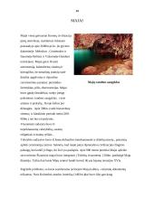 Lotynų Amerika 14 puslapis