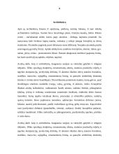 Lotynų Amerika 6 puslapis