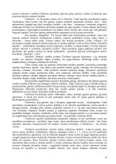 Mikalojus Konstantinas Čiurlionis - kompozitorius ir dailininkas 13 puslapis