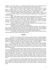 Mikalojus Konstantinas Čiurlionis - kompozitorius ir dailininkas 7 puslapis