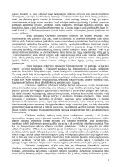 Mikalojus Konstantinas Čiurlionis - kompozitorius ir dailininkas 9 puslapis