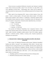 Moldavijos valstybė 12 puslapis