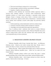 Moldavijos valstybė 13 puslapis