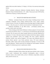 Moldavijos valstybė 8 puslapis