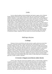 Moteriškosios mitinės būtybės 3 puslapis