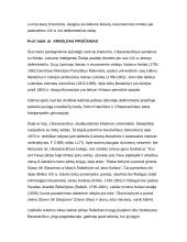 Mutual relations between the Czech and Lithuanian Republics 13 puslapis