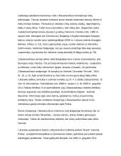 Mutual relations between the Czech and Lithuanian Republics 14 puslapis