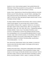 Mutual relations between the Czech and Lithuanian Republics 15 puslapis