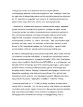 Mutual relations between the Czech and Lithuanian Republics 16 puslapis