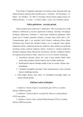 Nafta, naftos reikšmė ekonomikoje, nafta Lietuvoje 12 puslapis