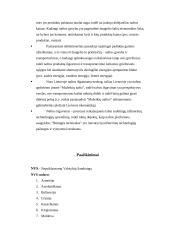 Nafta, naftos reikšmė ekonomikoje, nafta Lietuvoje 14 puslapis