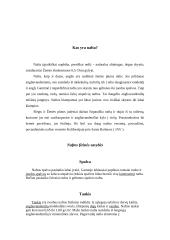 Nafta, naftos reikšmė ekonomikoje, nafta Lietuvoje 4 puslapis