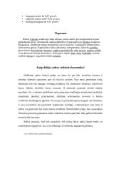 Nafta, naftos reikšmė ekonomikoje, nafta Lietuvoje 5 puslapis