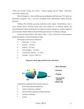 Nyderlandų politinė geografinė padėtis 11 puslapis