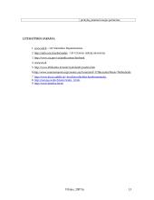 Nyderlandų politinė geografinė padėtis 13 puslapis