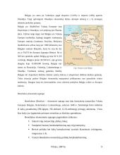 Nyderlandų politinė geografinė padėtis 9 puslapis