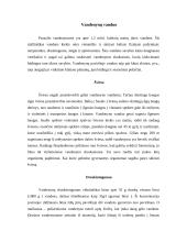 Okeanologija 2 puslapis