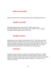 Olandijos geografija 3 puslapis