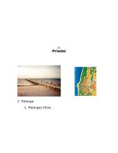 Palangos apibūdinimas 15 puslapis