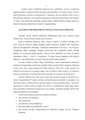 Paulius ir Korintas 5 puslapis