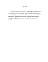 Plagijavimo problemos 2 puslapis