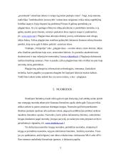 Plagijavimo problemos 5 puslapis