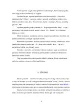 Plagijavimo problemos 6 puslapis