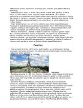 Faktai apie Prancūziją 15 puslapis