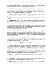 Išsamūs Prancūzijos ir jos miestų aprašymai 15 puslapis